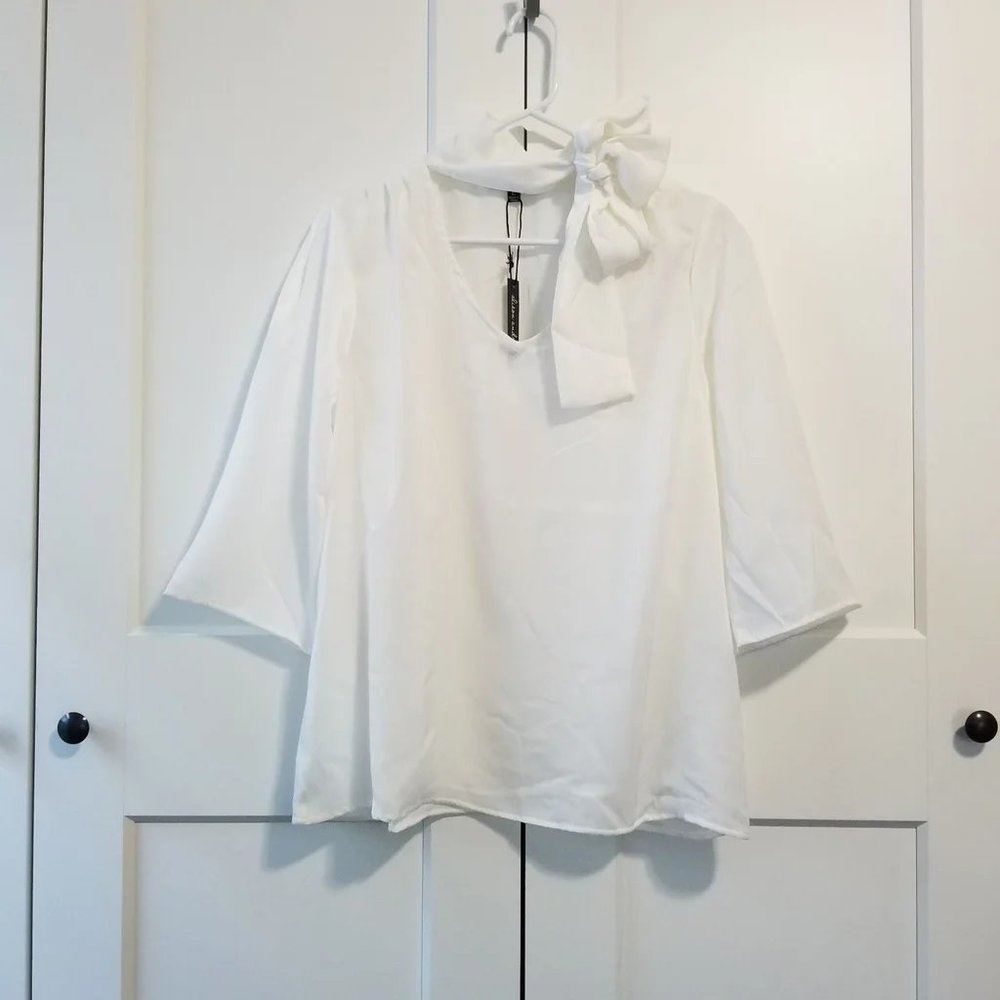 Alison Andrews vneck tie neck blouse